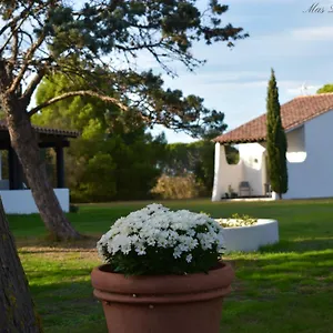 Mas Mls Saintes-Maries-de-la-Mer